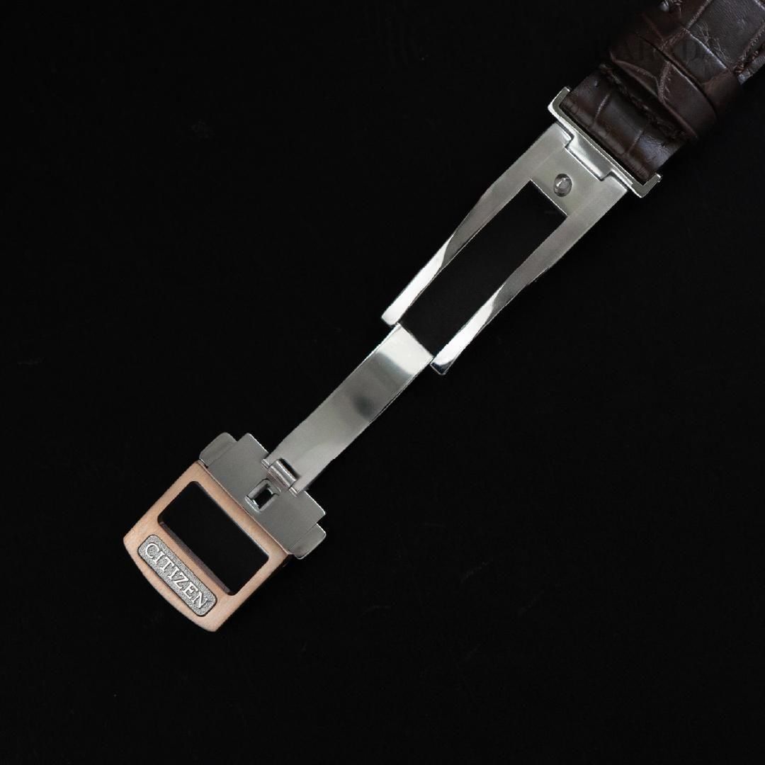  【世界限定400本】 AQ4106-00A The CITIZEN ザ・シチズン Iconic Nature Collection 「春」 The CITIZEN30周年記念限定モデル