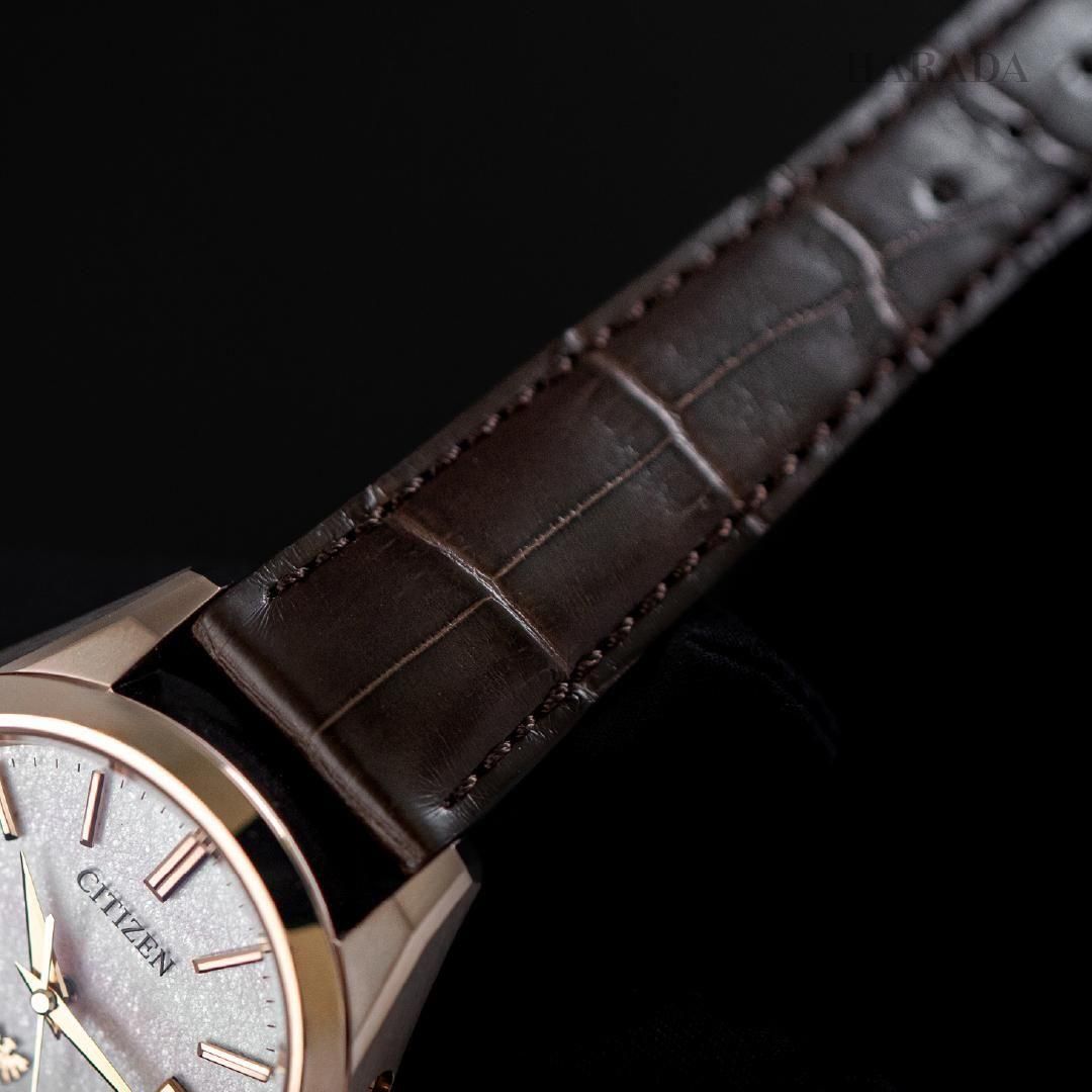  【世界限定400本】 AQ4106-00A The CITIZEN ザ・シチズン Iconic Nature Collection 「春」 The CITIZEN30周年記念限定モデル
