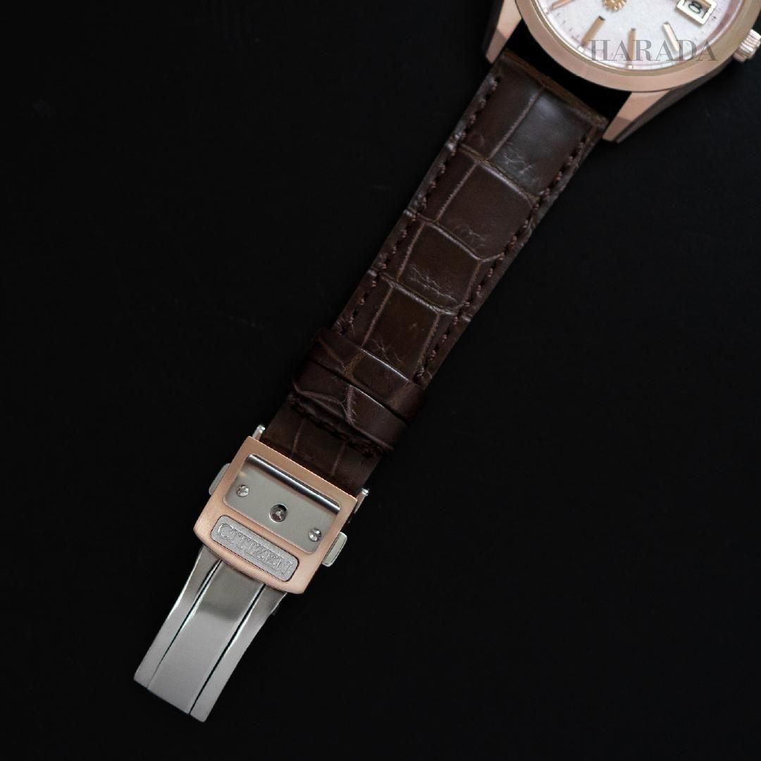  【世界限定400本】 AQ4106-00A The CITIZEN ザ・シチズン Iconic Nature Collection 「春」 The CITIZEN30周年記念限定モデル