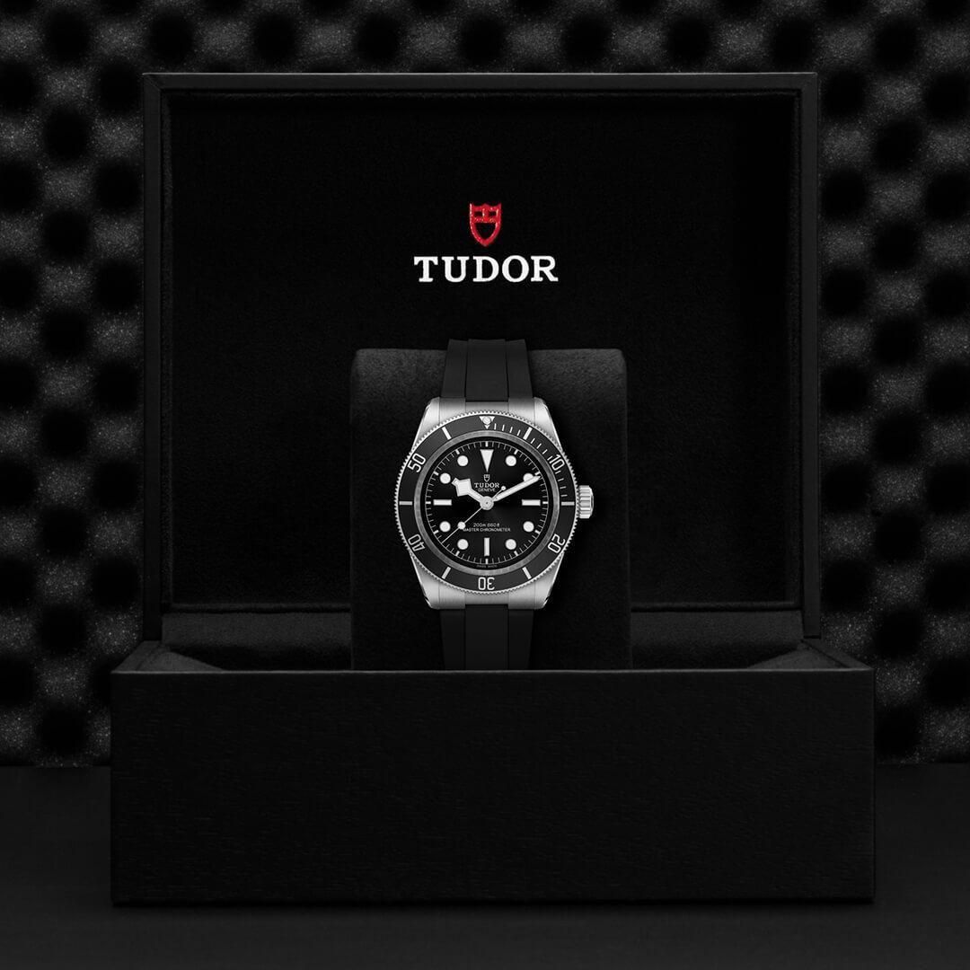 M7941A1A0NU-0002 TUDOR チューダー ブラックベイ