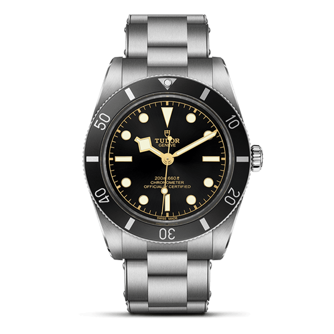  M79000N-0001 TUDOR チューダー ブラックベイ 54