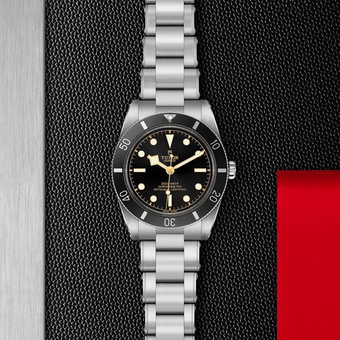  M79000N-0001 TUDOR チューダー ブラックベイ 54