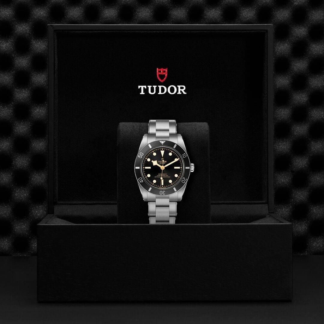  M79000N-0001 TUDOR チューダー ブラックベイ 54