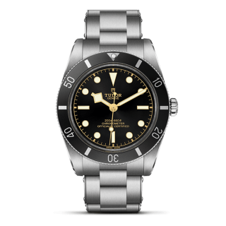 M79000N-0001 TUDOR チューダー ブラックベイ 54