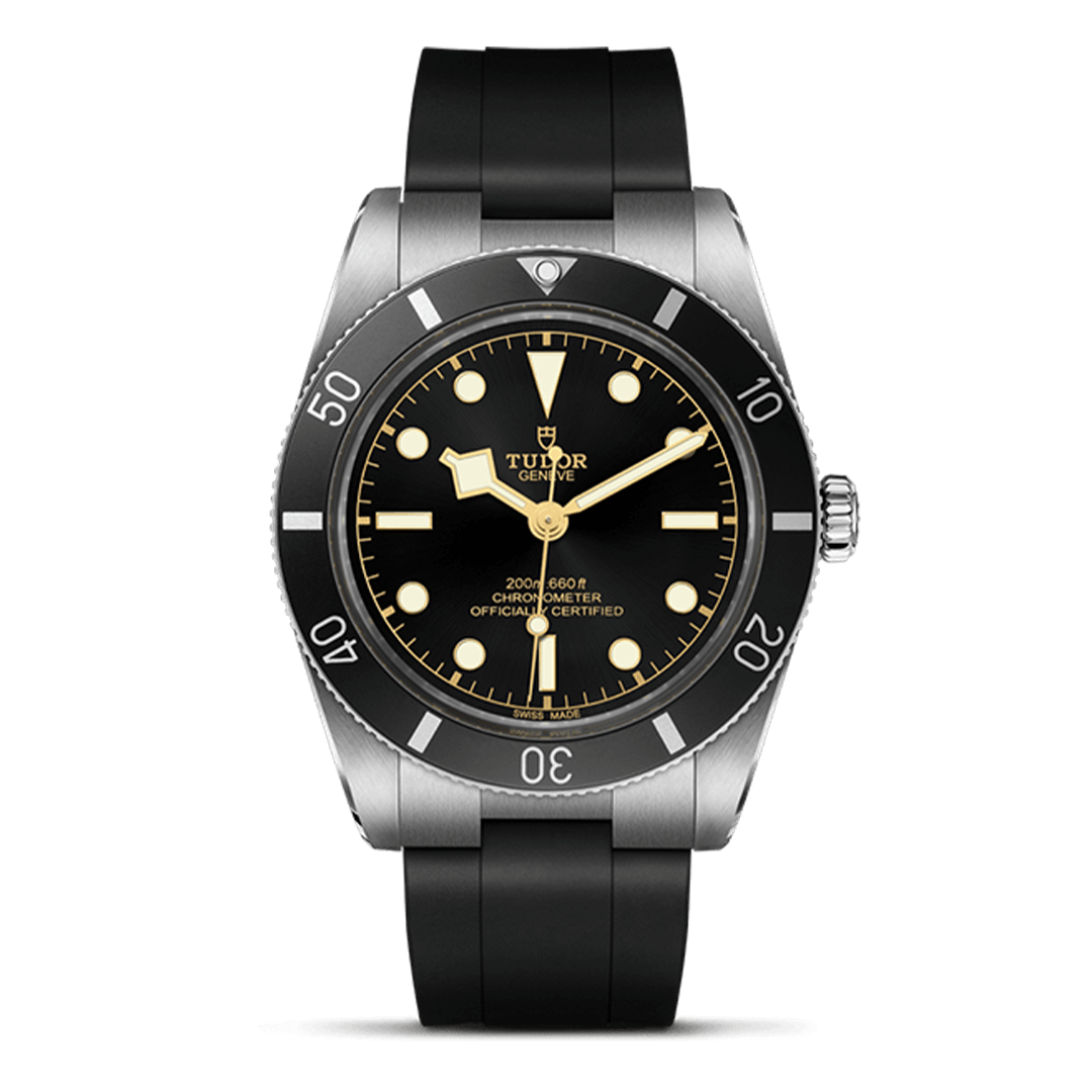  M79000N-0002 TUDOR チューダー ブラックベイ 54