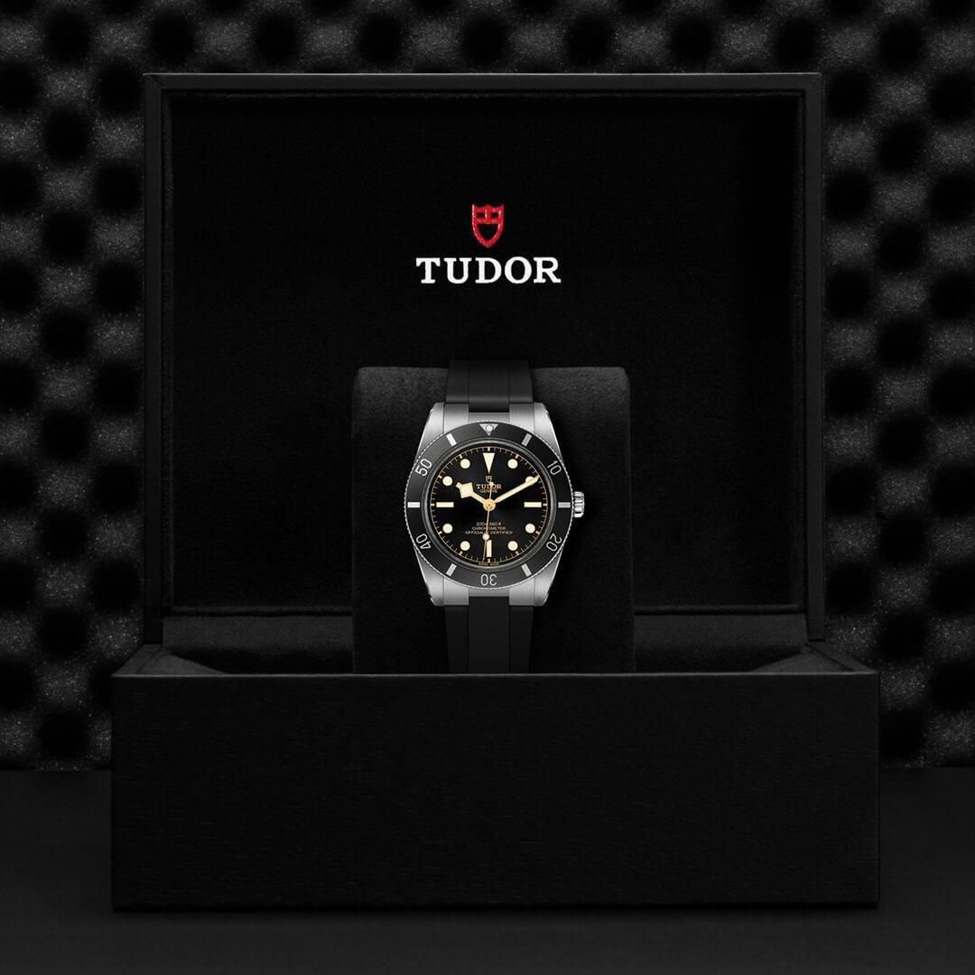  M79000N-0002 TUDOR チューダー ブラックベイ 54