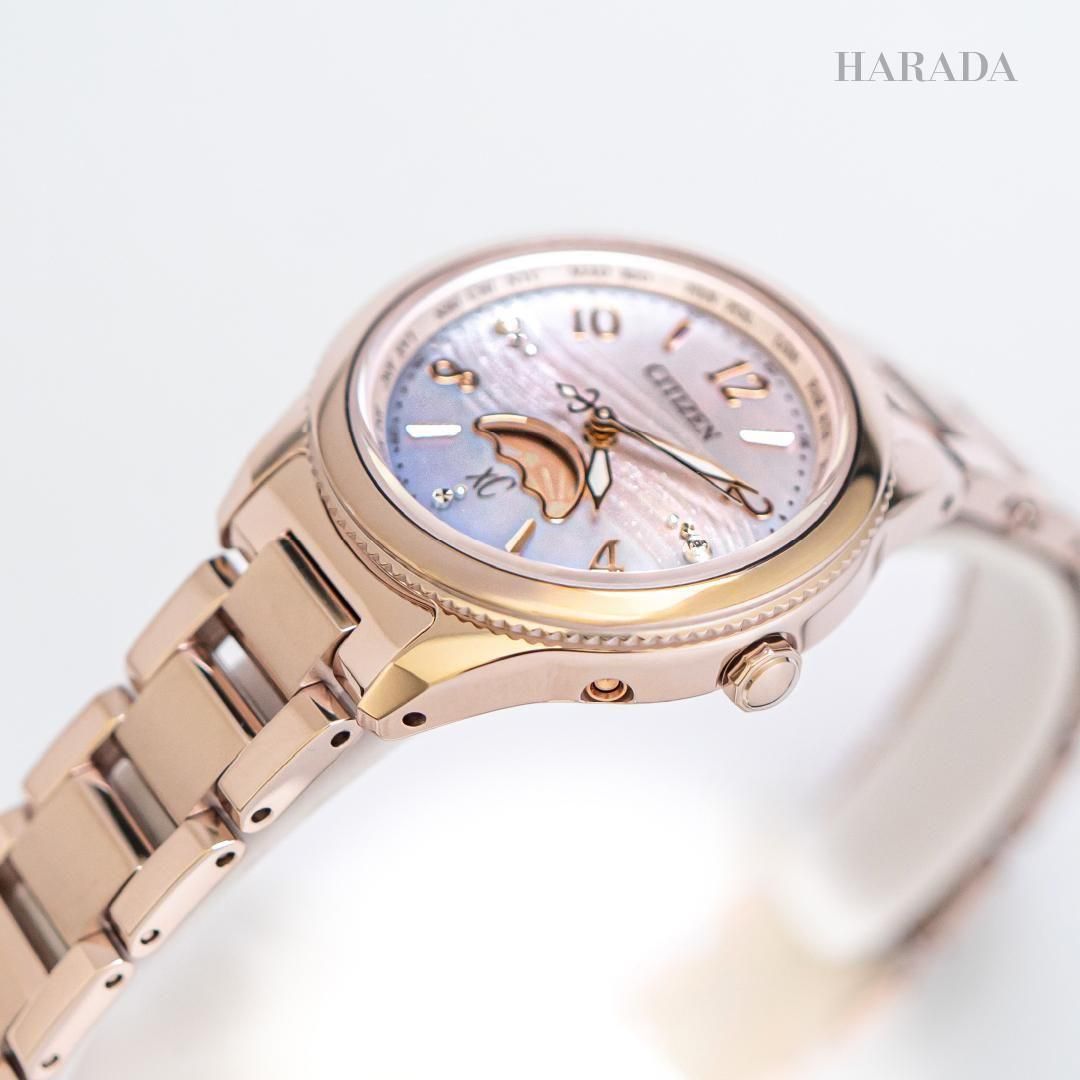  1,200ܡ EE1004-65N CITIZEN   daichi collection