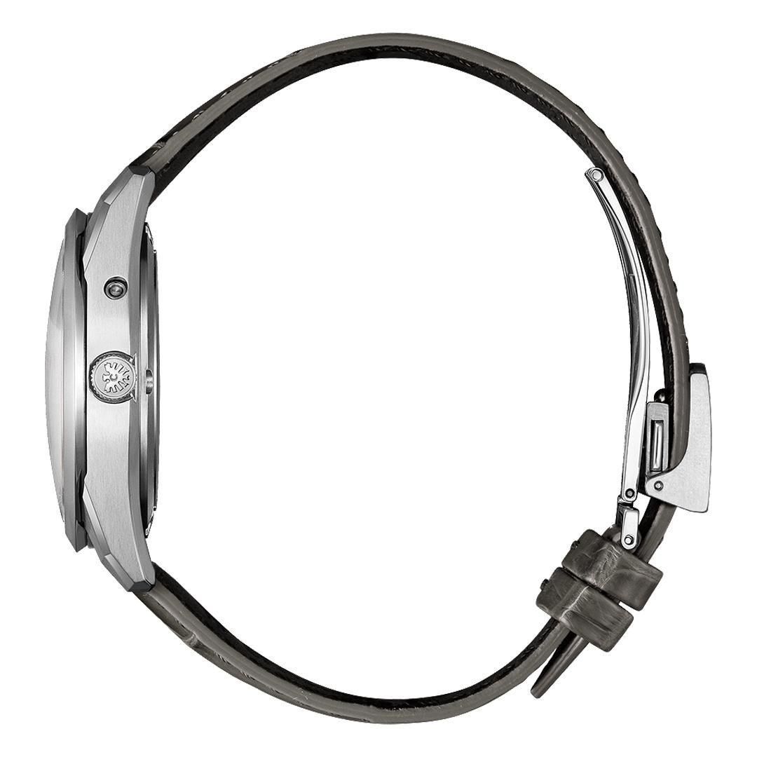  400ܡ AQ4100-22A The CITIZEN  Iconic Nature Collection ߡ The CITIZEN30ǯǰǥ