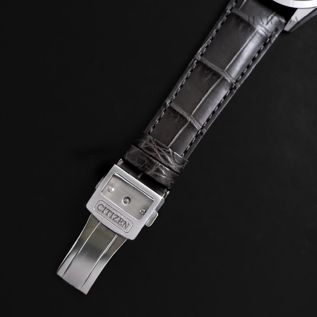  400ܡ AQ4100-22A The CITIZEN  Iconic Nature Collection ߡ The CITIZEN30ǯǰǥ