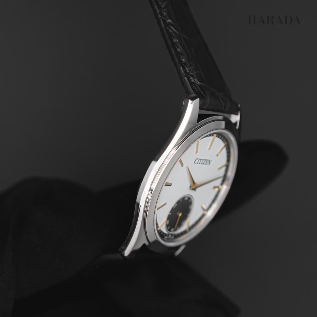  160ܡ AQ5010-01A CITIZEN  ɥ饤  Źǥ