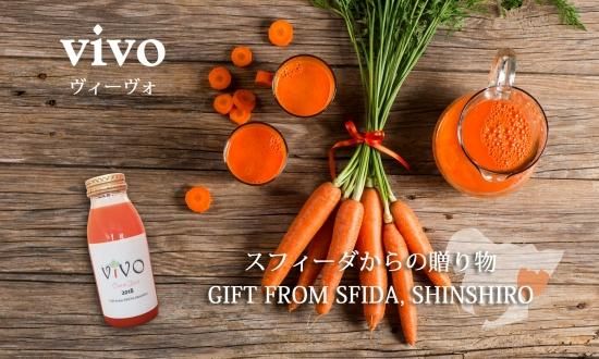 人参ジュースvivo 0ml 本 スフィーダ おいしい野菜のネットショップ 人参ジュースvivo 0ml 本 スフィーダ おいしい野菜のネットショップ
