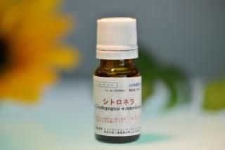 <img class='new_mark_img1' src='https://img.shop-pro.jp/img/new/icons29.gif' style='border:none;display:inline;margin:0px;padding:0px;width:auto;' />ȥͥ