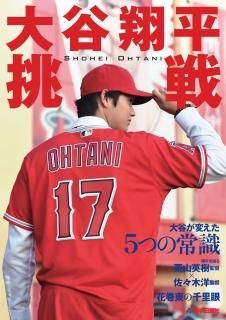どじママを育ててくれてありがとう 第二弾 すべてスピリッツ 心