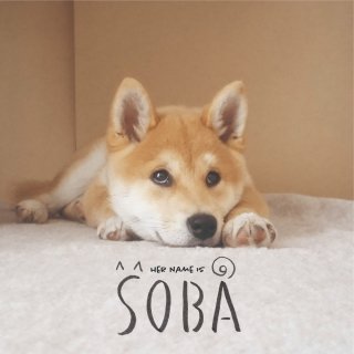 HER NAME IS SOBA