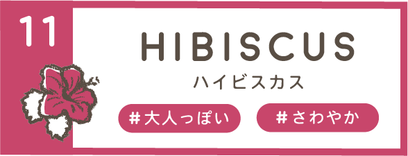 hibiscus
