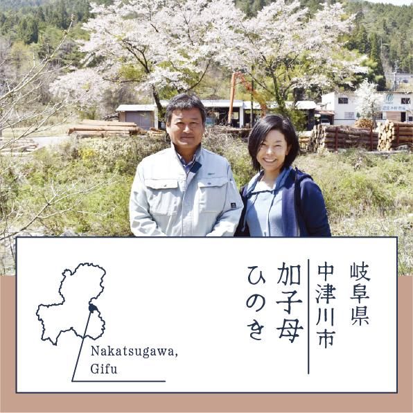 kashimohinoki