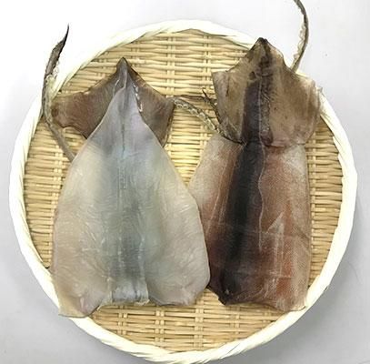 するめ一夜干し 1枚入り 干物 するめ お造り 貝類 珍味のことなら天然物専門店もとや