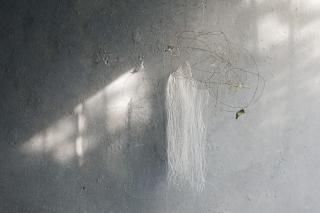  ϣϺ  ʥ˥ĥ  磻䡼֥<img class='new_mark_img2' src='https://img.shop-pro.jp/img/new/icons8.gif' style='border:none;display:inline;margin:0px;padding:0px;width:auto;' />