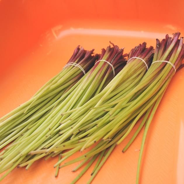 山蕗 約1kg