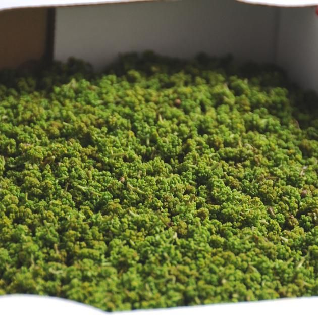 新物】花山椒(生) 通販・お取り寄せ | 高級佃煮専門店 さん志ょ 新物】花山椒(生) 通販・お取り寄せ | 高級佃煮専門店 さん志ょ