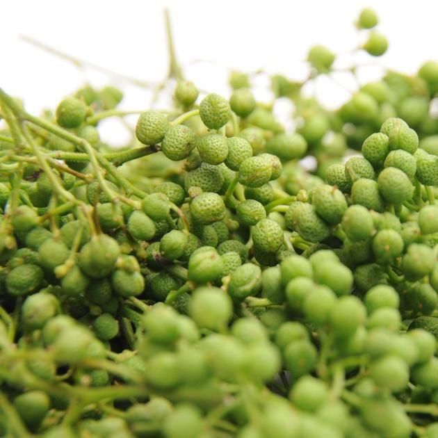 実山椒 朝倉山椒 新物 生 100g 実山椒 朝倉山椒 新物 生 100g