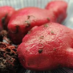 紅しょうが】高知県産生姜 × 梅酢と赤紫蘇｜昔ながらの自家製の味
