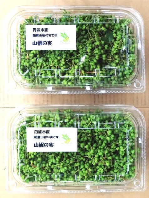 山椒の実200g+おまけ 京都府産朝倉山椒 無農薬 葉っぱもおまけ 朝