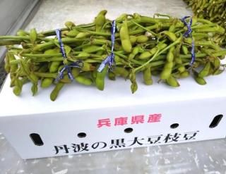 ðȻԻ ƦƦỵ́ФðȤľ