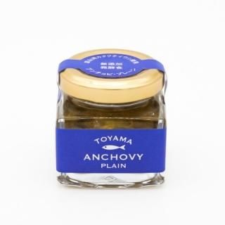 【完売】TOYAMA ANCHOVY PLAIN トヤマアンチョビプレーン