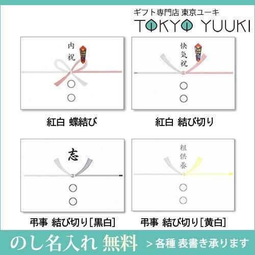 しぼりたて生しょうゆ&日清キャノーラ油 カンフォータブル CF-10 しぼりたて生しょうゆ&日清キャノーラ油 カンフォータブル CF-10