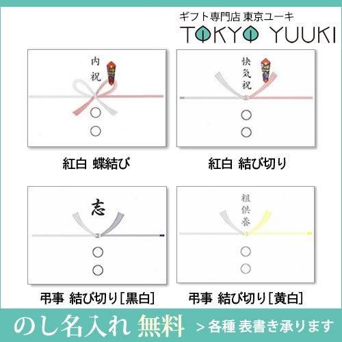 送料無料】素材の匠 ボタニカル・ダイ 8重織ガーゼひざ掛け(Z51