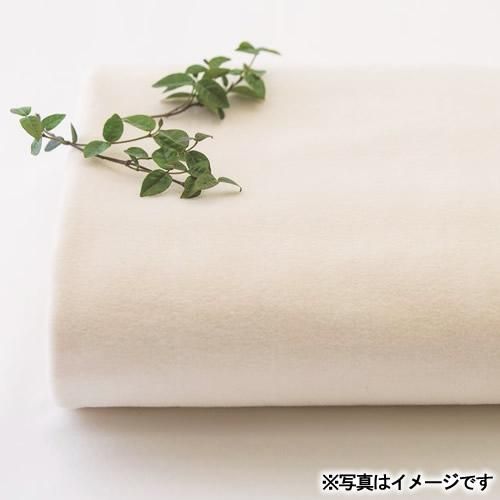 送料無料】素材の匠 オーガニックコットン綿毛布2P(Z54-03) - ギフト