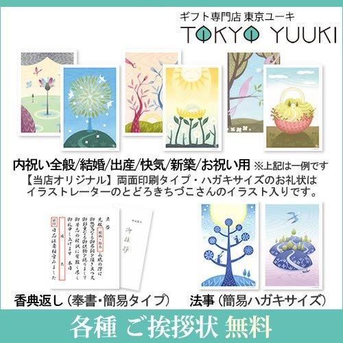 送料無料】素材の匠 オーガニックコットン綿毛布2P(Z54-03
