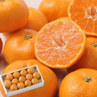 ڤ渵 ̵ ľۥϥߤ 1.1kg(75168)