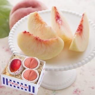 ڤ渵 ̵ ľȵܺޥ󥴡(75171)