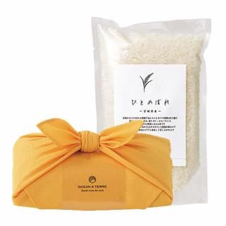 TSUTSUMI ηä ܾ뻺 ҤȤܤ (A651)