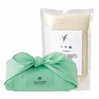 TSUTSUMI ηä  Ĥɱ (A652)