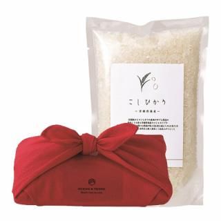 TSUTSUMI ηä ð建 Ҥ (A654)