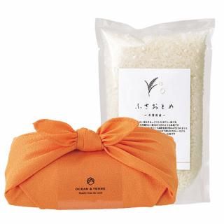 TSUTSUMI ηä ջ դȤ (A655)