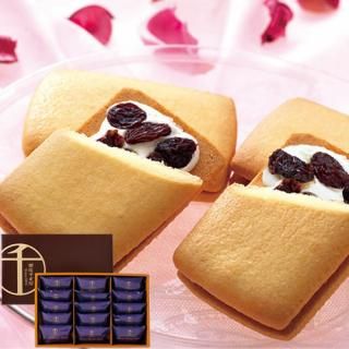 ڤ ̵ ľ۶ɥ ¥졼󥵥(V6004537T)