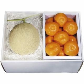 ڤ ̵ ľۥ̱ ߤ͹礻(V6005527T)