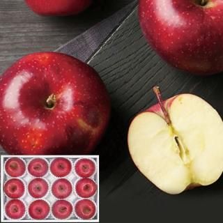 ڤ ̵ ľۥ̱ Ŀ ʡ(V6005534T)