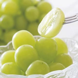 ڤ ̵ ľۥ̱ 㥤ޥå(V6006517T)