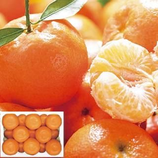 ڤ ̵ ľۥ̱ ɲ ߤʤΤߤ(V6006538T)