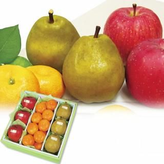 ڤ ̵ ľۥ̱ 󥿡ե롼ĵ͹礻(V6006566T)