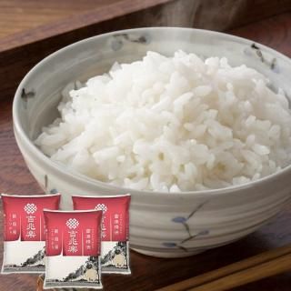 ڤ ̵ ľ۵ 㲹ˡ 㻺Ҥ ǽŶ(V6016558T)