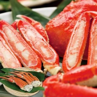 ڤ ̵ ľۤ襤(V6017534T)