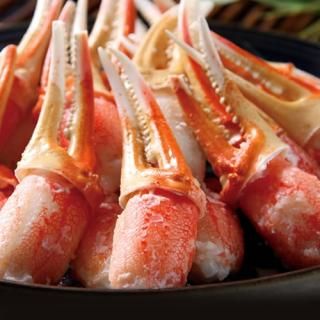 ڤ ̵ ľۥܥ뤺襤(V6017555T)