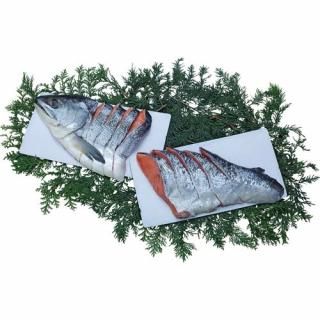 ڤ ̵ ľ̳ƻӿڿ(V6019514T)