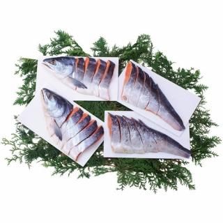 ڤ ̵ ľ̳ƻӿڿ(V6019528T)